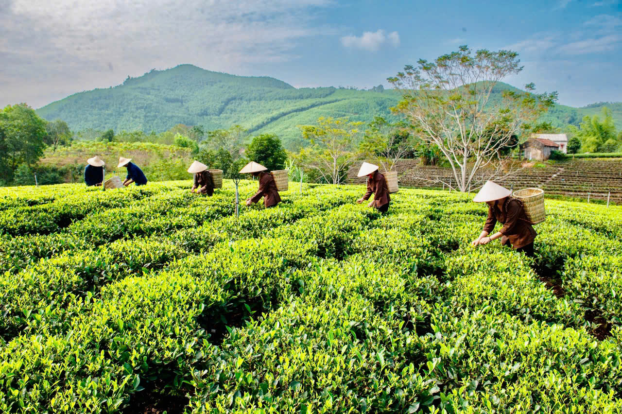 Mục tiêu