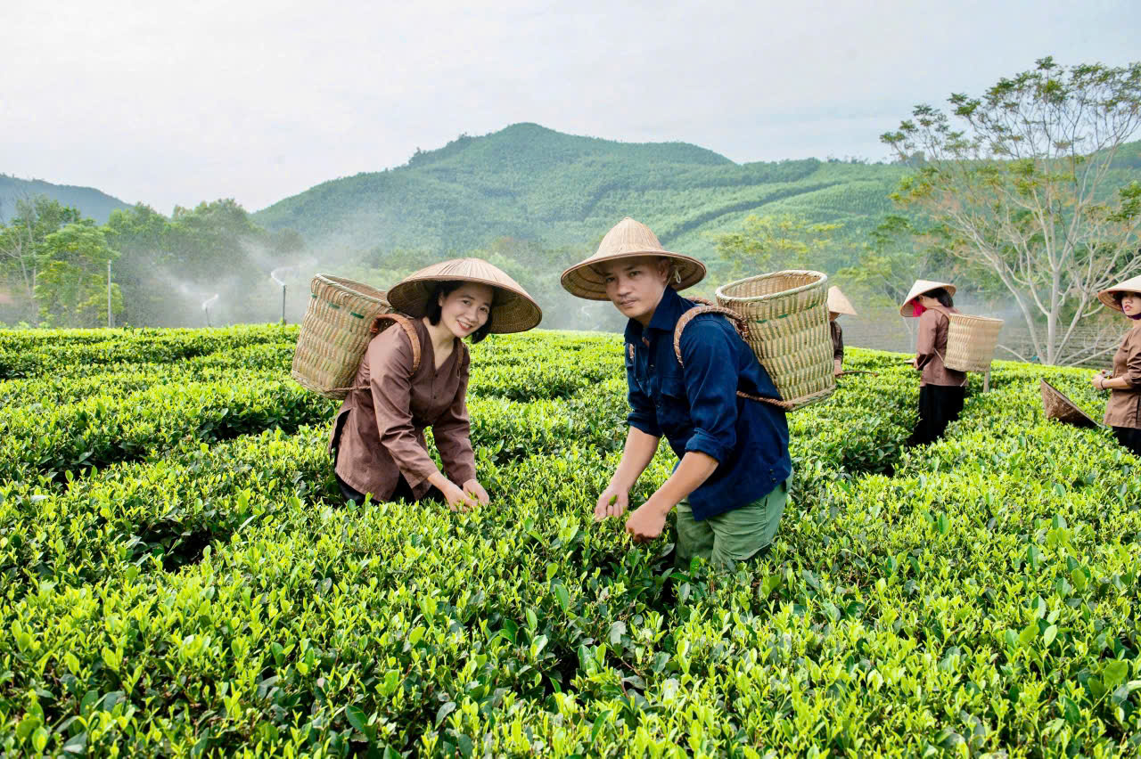 Kinh nghiệm